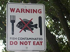 fish-pollution