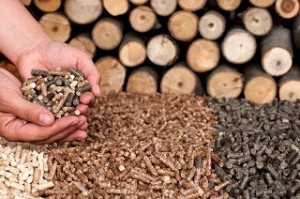 The Market for Wood Pellets in European Power Plants 