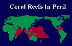 Coral Depletion and Regeneration: Villains and Heroes of the Fragile Ocean Ecosystems