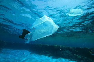 What Price Plastic? Saving the Ocean from Humanity's Worst Addiction