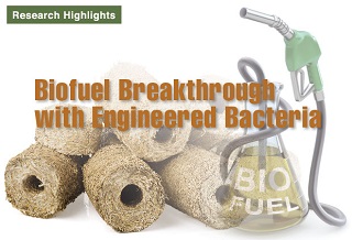 Biofuels Made from Bacteria