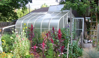 Going Greener with a Greenhouse--How to Get Started