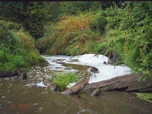 runnoff-pollution-Tualatin-river
