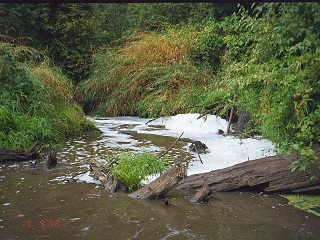 Water Pollution and Household Cleaners