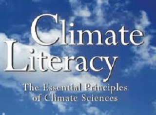 In the Constellation of World Problems, How Important Is Climate Change Mitigation?