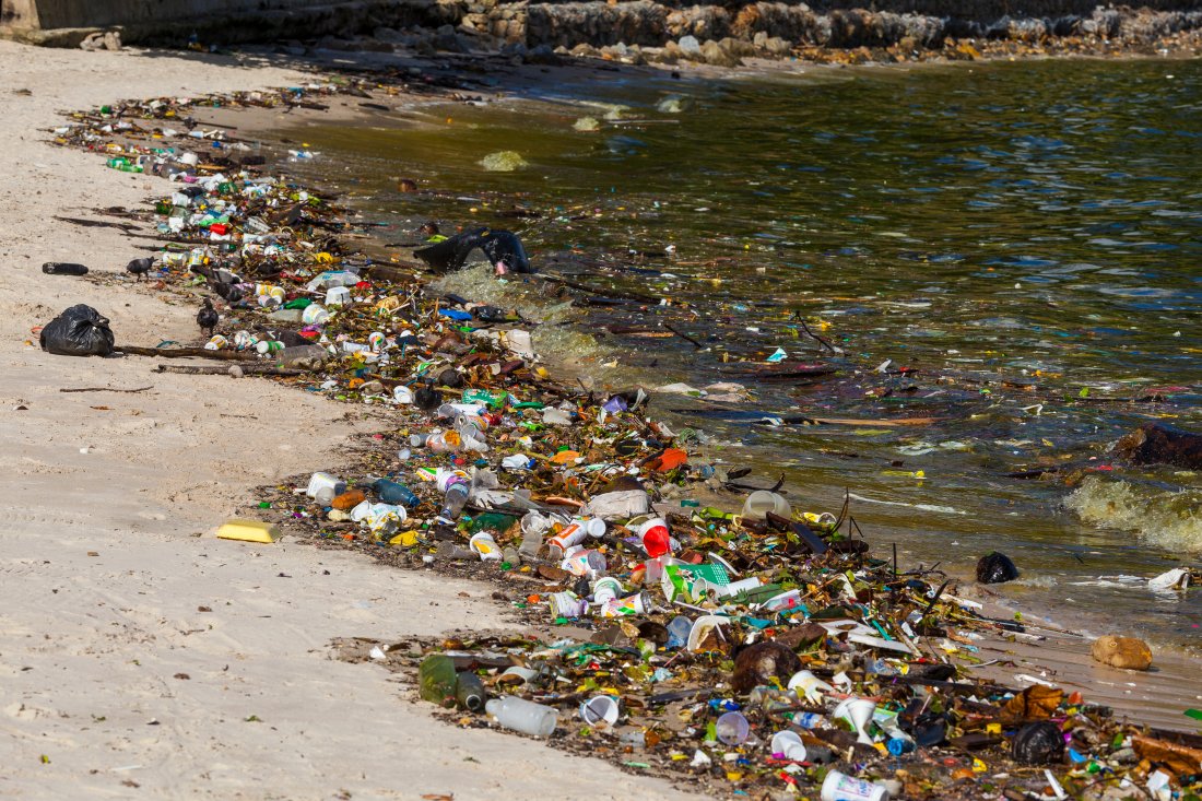 Guanabara bay polution