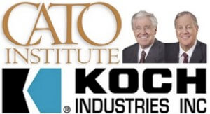 Koch-Cato