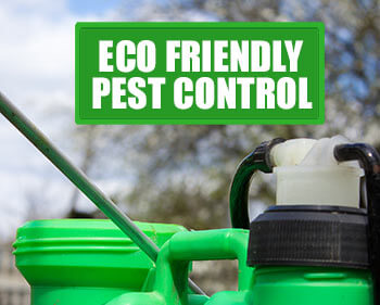 green-organic-pest-control-options