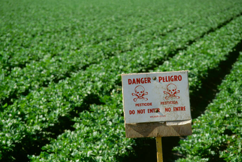 Agriculture - Warning sign posted at the edge of a celery field to indicate the field is unsafe to enter shortly after an application of pesticide / Salinas Valley, California, USA.