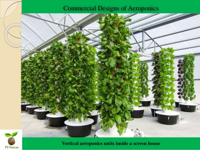 aeroponic-presentation-13-638