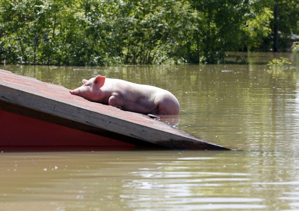 2014-05-19T145338Z_01_LJU14_RTRIDSP_3_BALKANS-FLOOD