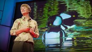 Janine Benyus at TEDGlobal 2009, Session 4: "Nature's challenge," July 22, 2009, in Oxford, UK. Credit: TED / James Duncan Davidson