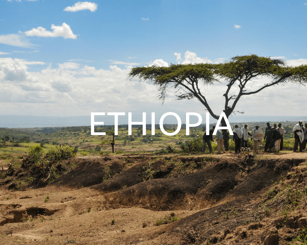 Ethiopia_Plant_Trees_One_Tree_Planted_2000x