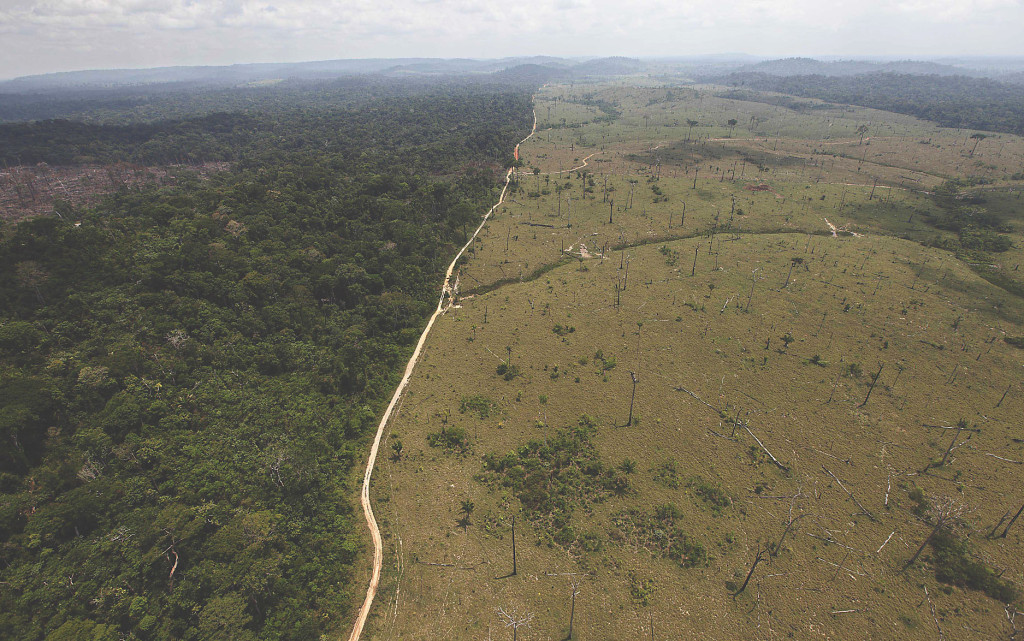 FILE - This Sept. 15, 2009 file photo shows a deforested area near Novo Progresso in Brazil's northern state of Para. Brazil's government says destruction of its Amazon rainforest has jumped by 28 percent. The sharp jump in deforestation came in the August 2012 through July 2013 period, the time when Brazil measures the annual destruction of the forest. (AP Photo/Andre Penner, File)