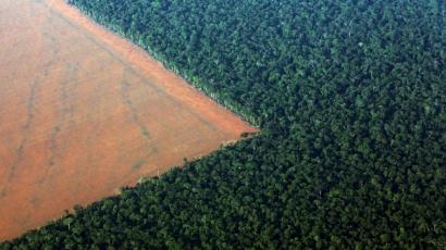 deforestation-amazon-e1480934649492