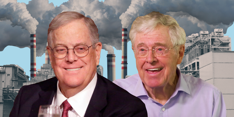 koch