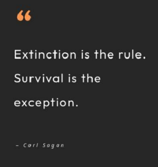 Survival Is the Exception