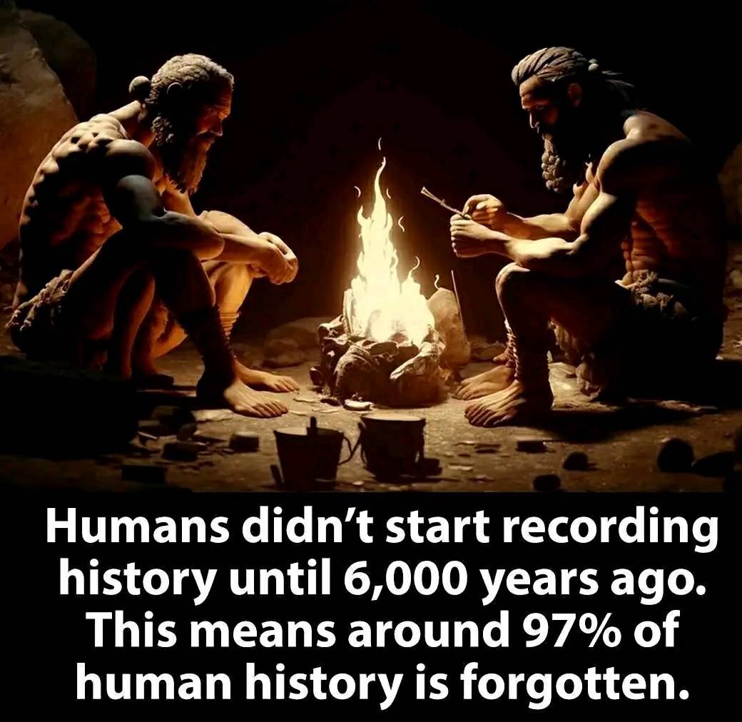 448321720_774778994834627_8298407450314669430_n-1.jpg