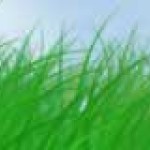 cropped-green-energy.jpg