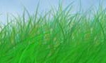 green-energy3.jpg