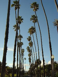 Model for Clean Transportation – Santa Monica