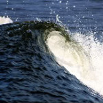 Renewable Energy “Wave”