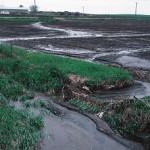NRCSIA99134_-_Iowa_(2969)(NRCS_Photo_Gallery)