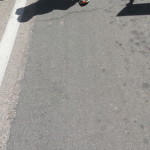 20170422_130353